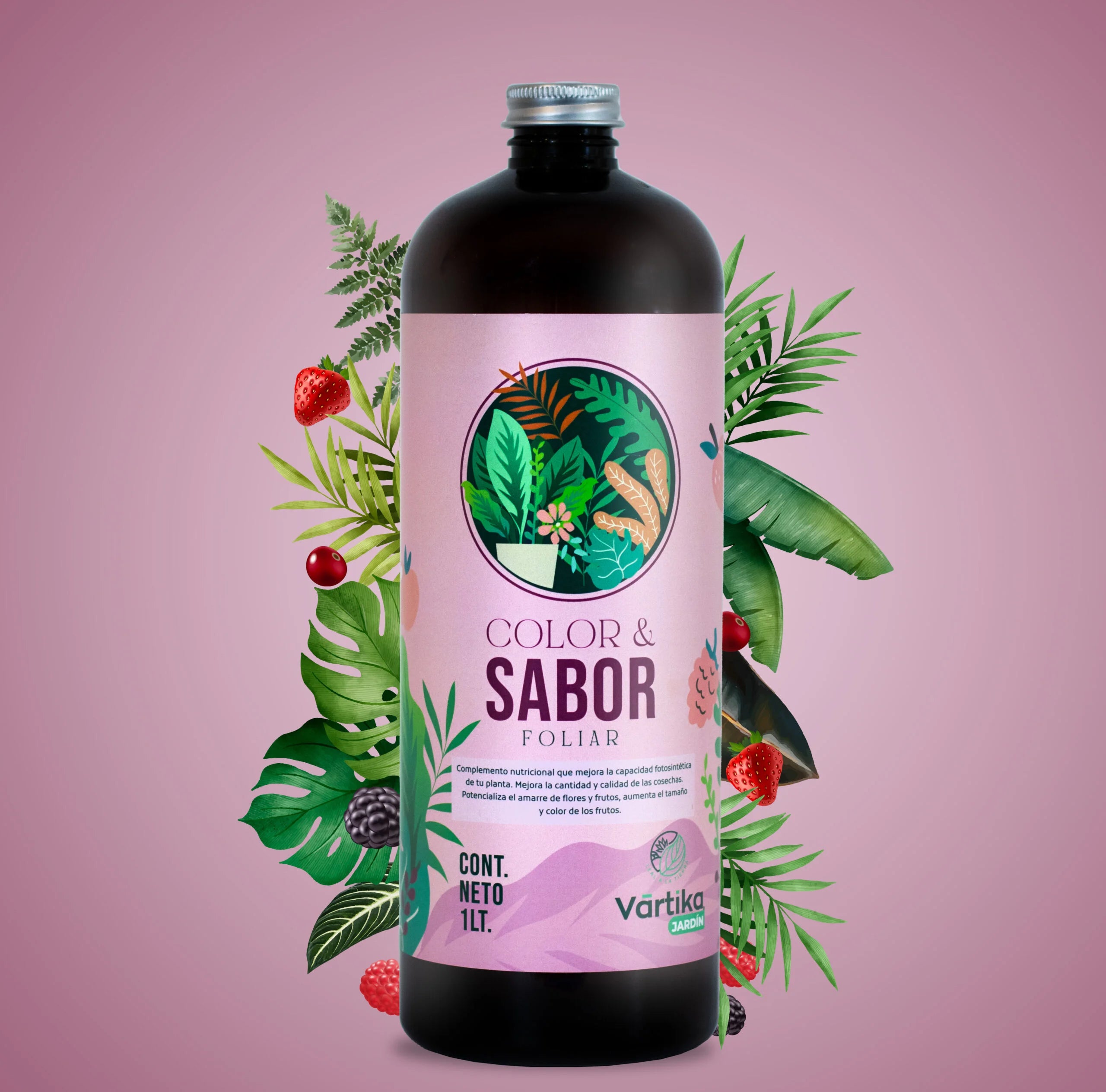 Color & Sabor