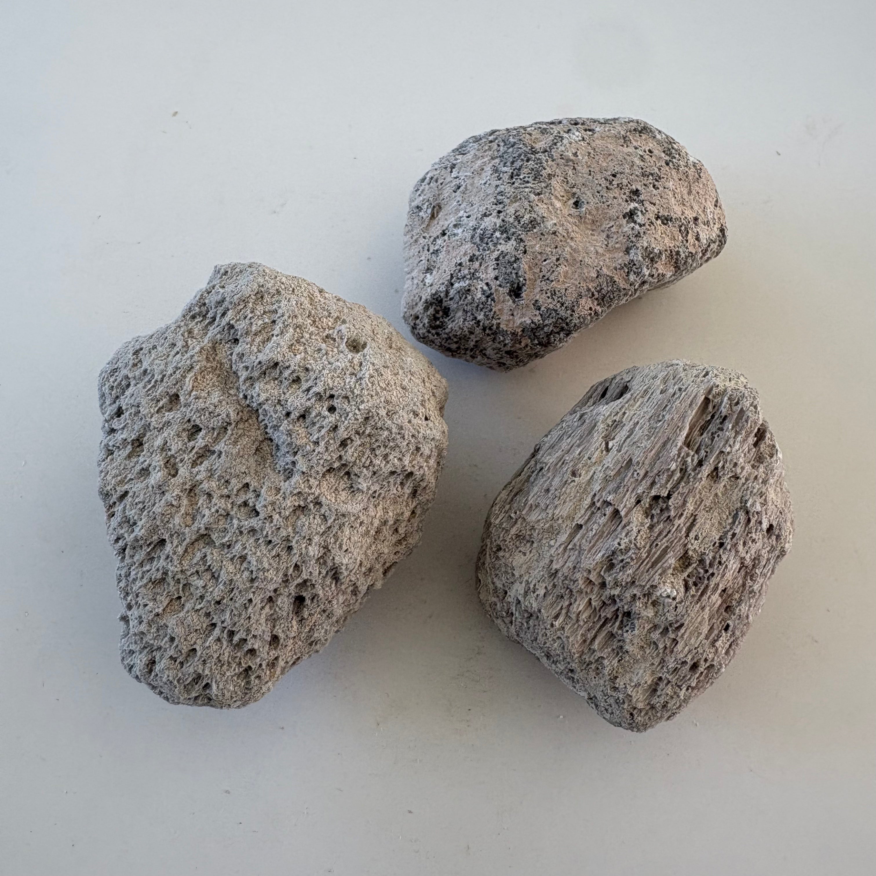 Piedra Pómez