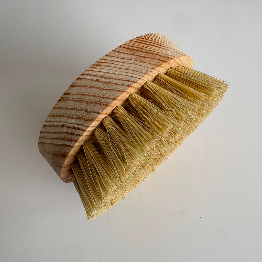 Cepillo Corporal Lechuguilla (redondo)