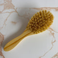 Cepillo Cabello Ovalado Madera & Lechuguilla